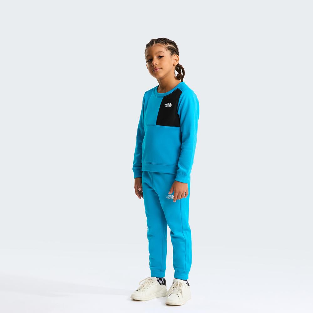 Tepláková súprava The North Face Performance 0A8CV0D7R1 - modré