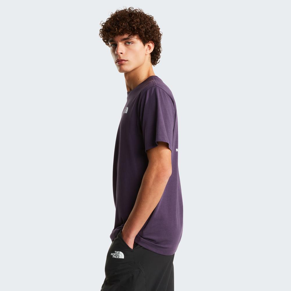 Mužský tričko The North Face Evolution NSE Box 0A8B6KG5O1 - fialové