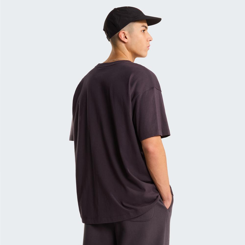 Mužský tričko The North Face Red Box 0A8EG50SA1 - hnedé