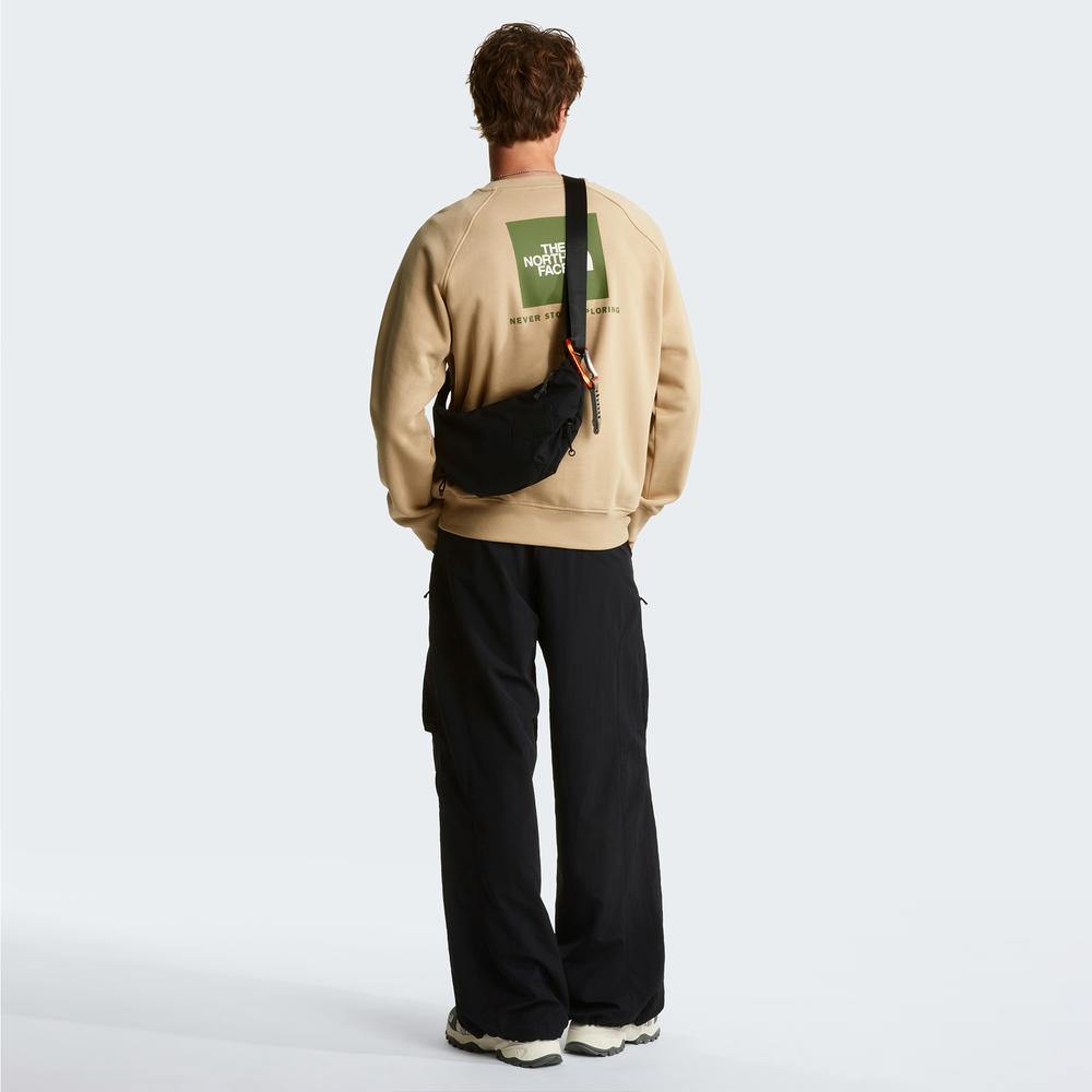Mužský blúza The North Face Raglan Box NS Crew 0A89FALK51 - béžové