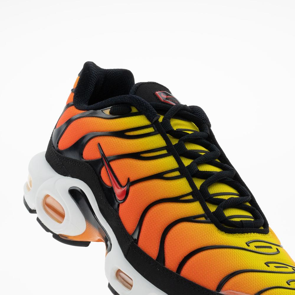 Pánske topánky Nike Air Max Plus HF0552-001 - viacfarebné