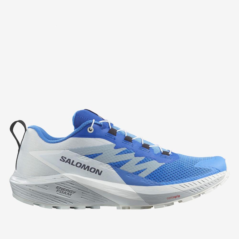 Topánky Salomon Sense Ride 5 L47311800 - modré
