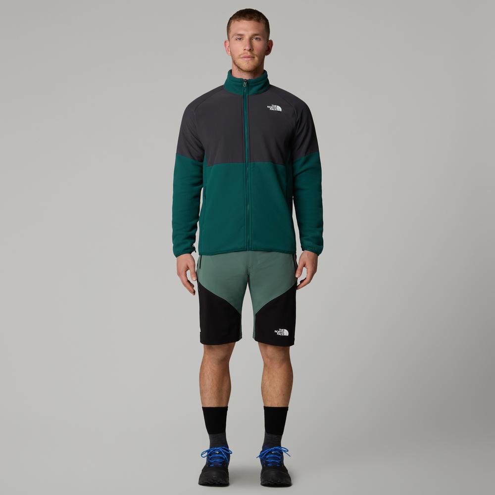 Pánske Šortky The North Face Felik 0A825XLFW1 - zelené