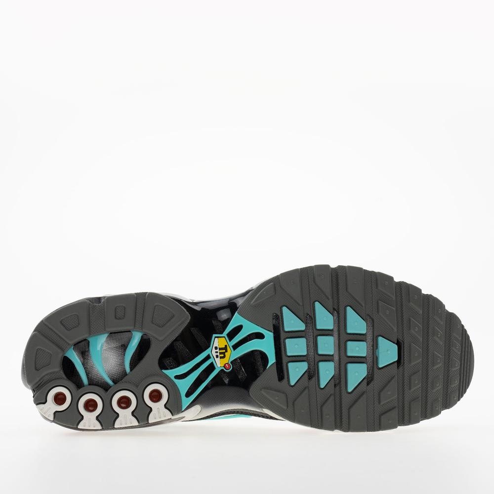 Pánske topánky Nike Air Max Plus HV6225-100 - biele