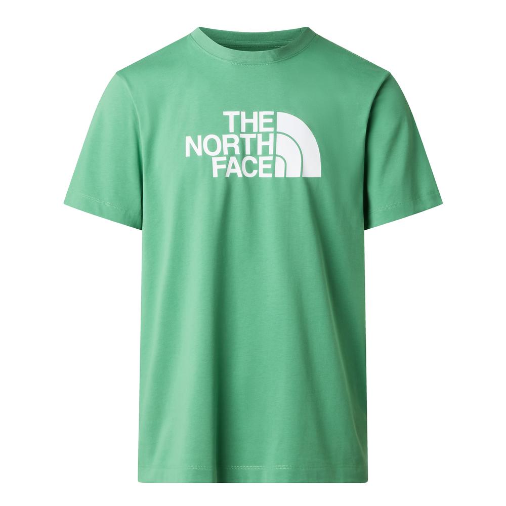 Mužský tričko The North Face Evolution Half Dome 0A8B6JG571 - zelené
