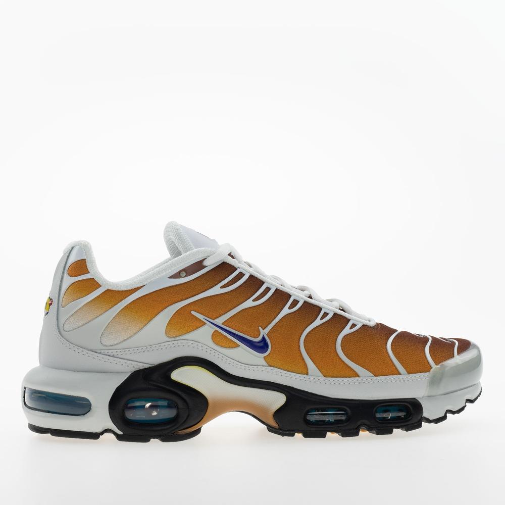Pánske topánky Nike Air Max Plus FZ3308-700 - viacfarebné
