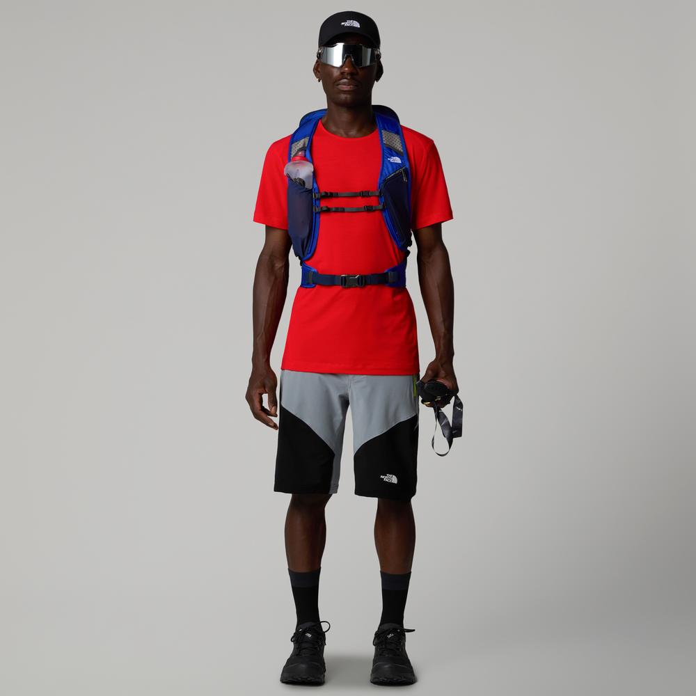 Pánske Šortky The North Face Felik 0A825XBO71 - šedý