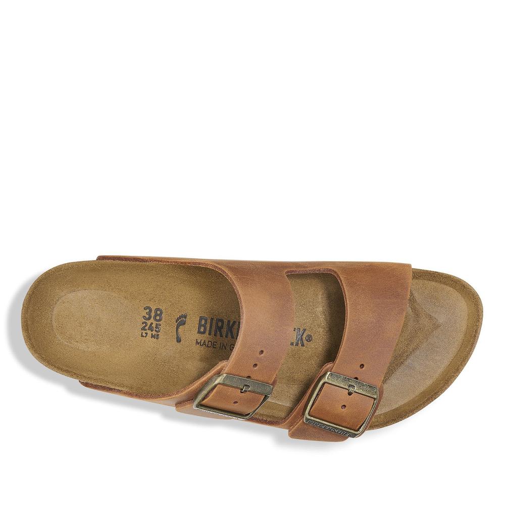 Klapky pánske Birkenstock Arizona 1028272 - hnedé