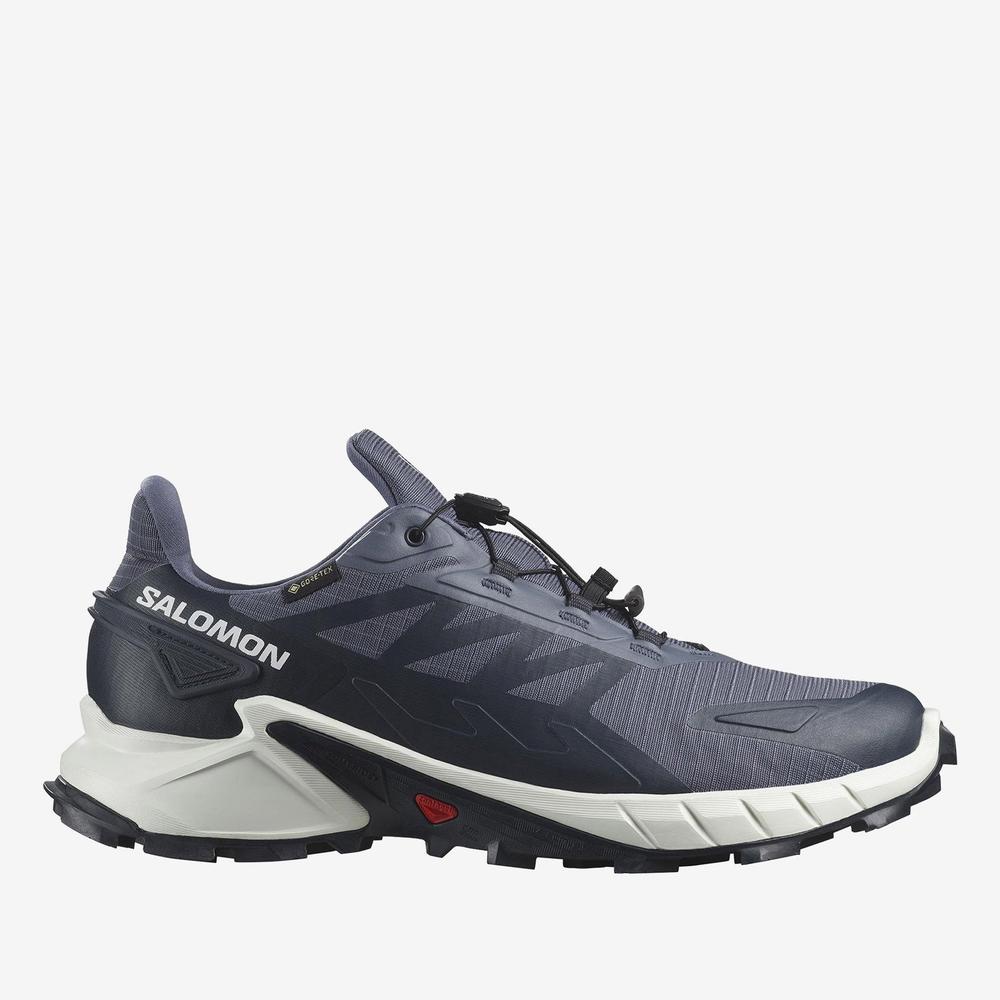 Mužský topánky Salomon Supercross 4 Gore-Tex L47462300 - tmavomodré