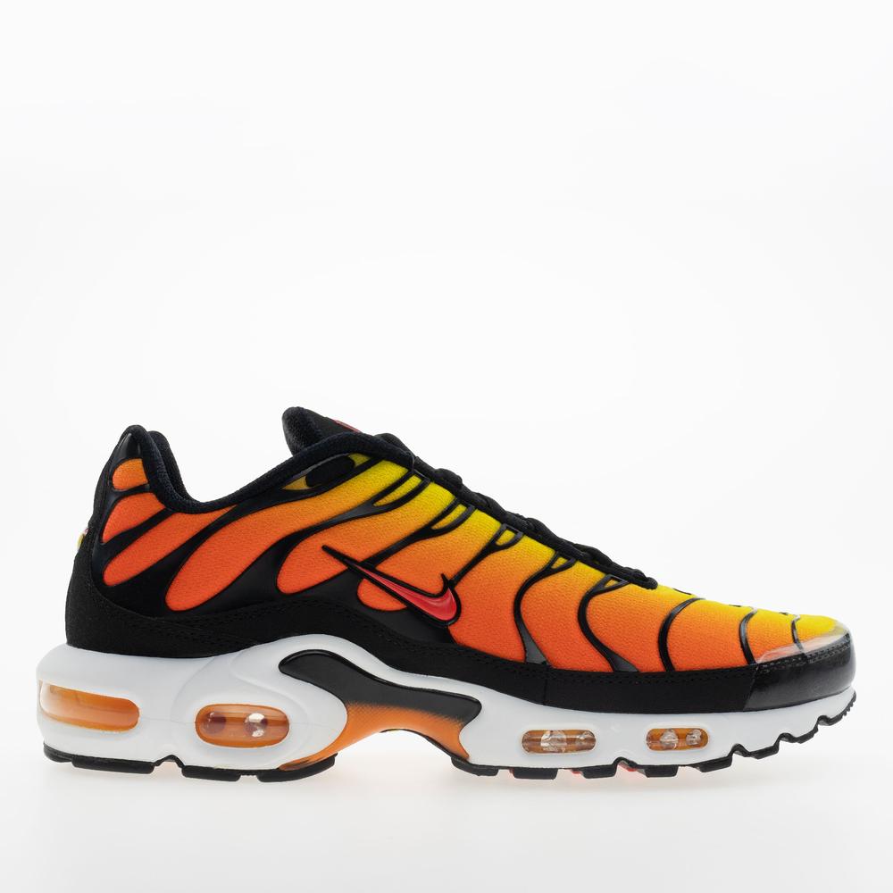 Pánske topánky Nike Air Max Plus HF0552-001 - viacfarebné