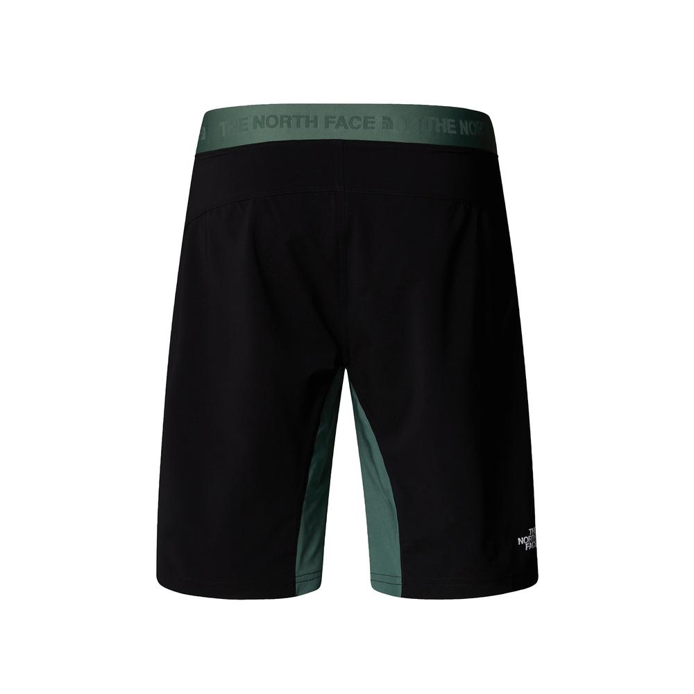 Pánske Šortky The North Face Felik 0A825XLFW1 - zelené
