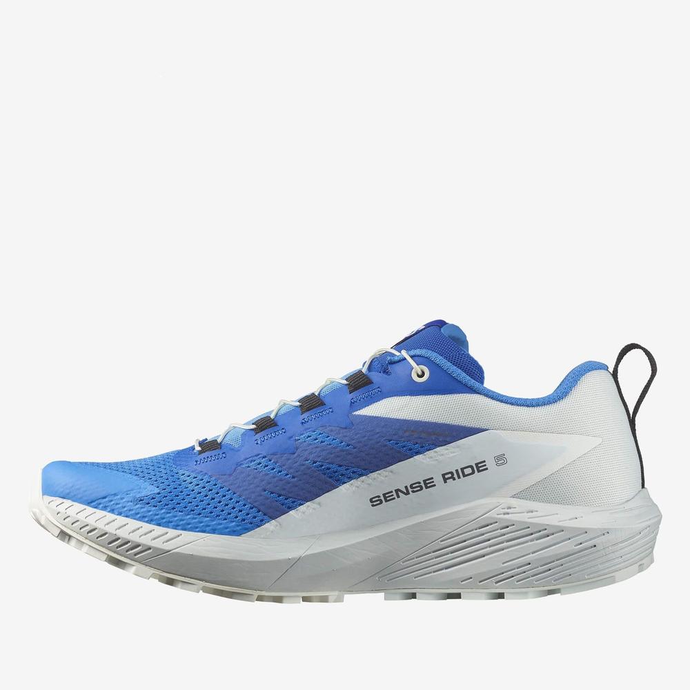 Topánky Salomon Sense Ride 5 L47311800 - modré