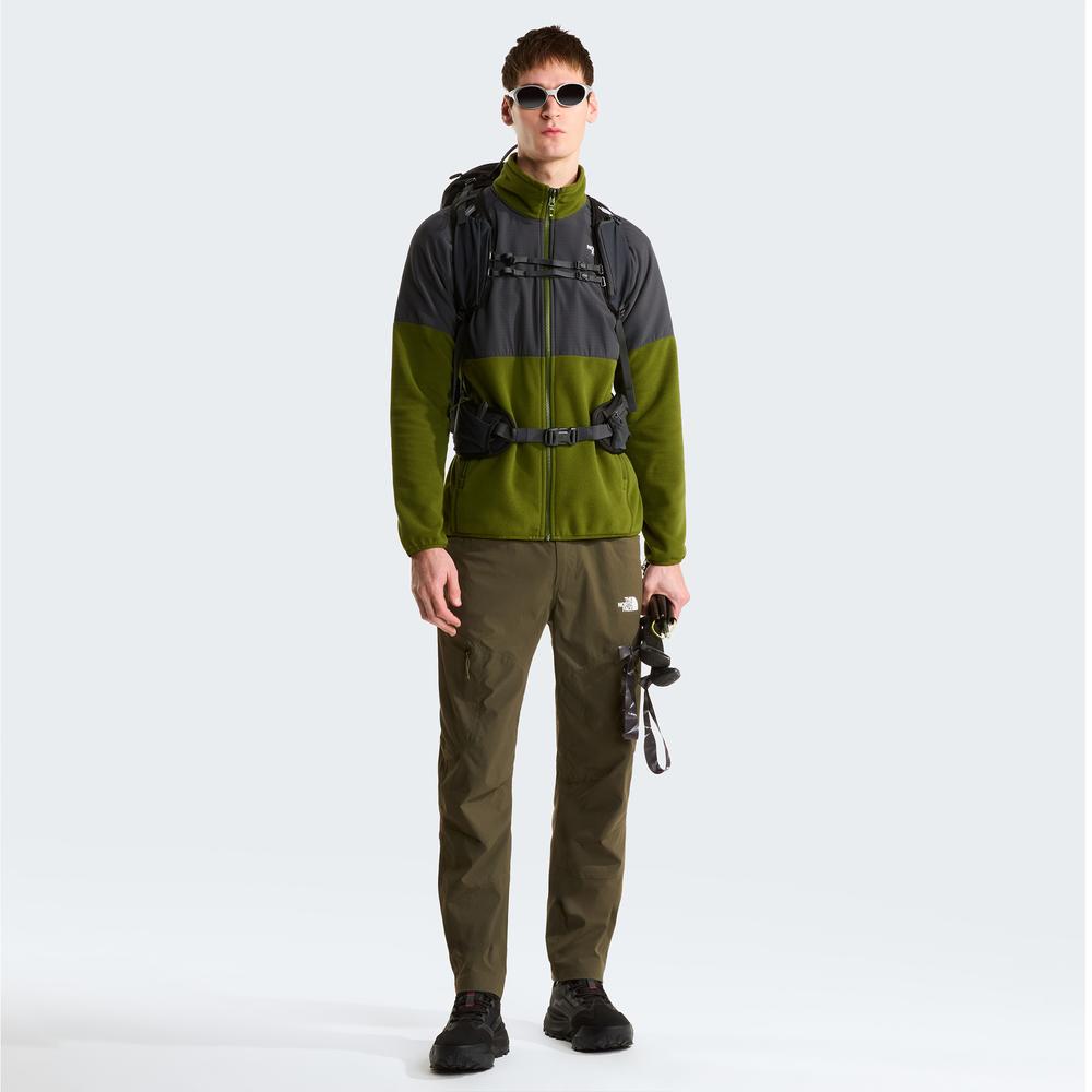 Mužský blúza The North Face 100 Glacier Heavyweight Full-Zip Fleece 0A89JGM6D1 - zelené