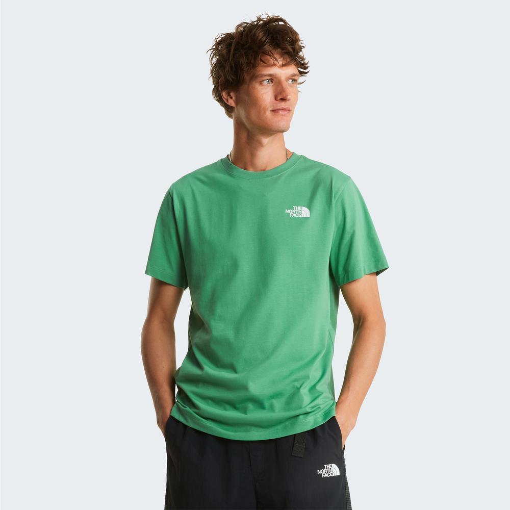 Mužský tričko The North Face Evolution NSE Box 0A8B6KG571 - zelené