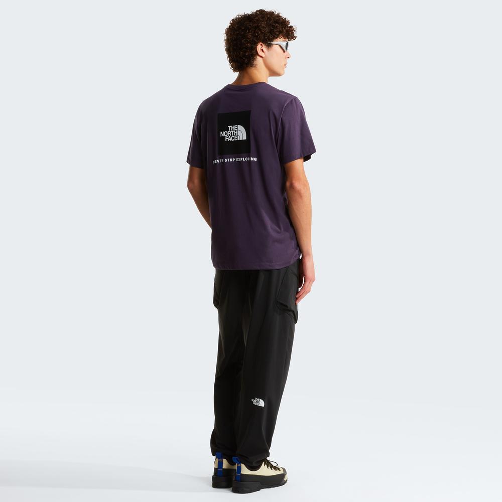 Mužský tričko The North Face Evolution NSE Box 0A8B6KG5O1 - fialové