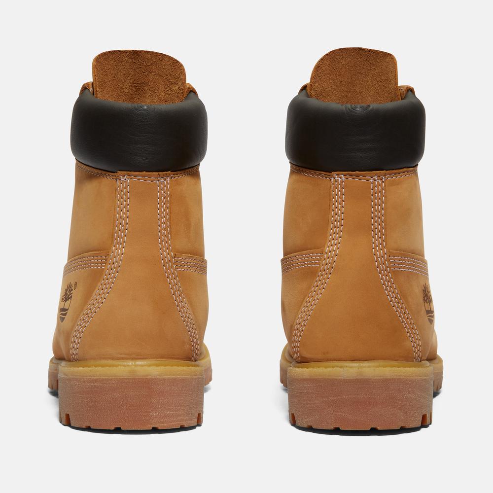 Pánske topánky Timberland Premium 6 Inch Boot 1100617131 - hnedé