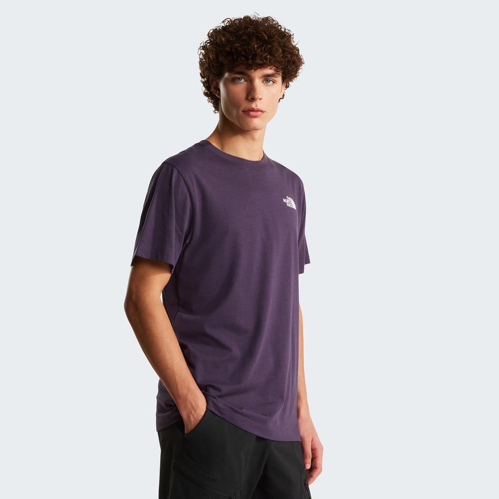Mužský tričko The North Face Evolution NSE Box 0A8B6KG5O1 - fialové