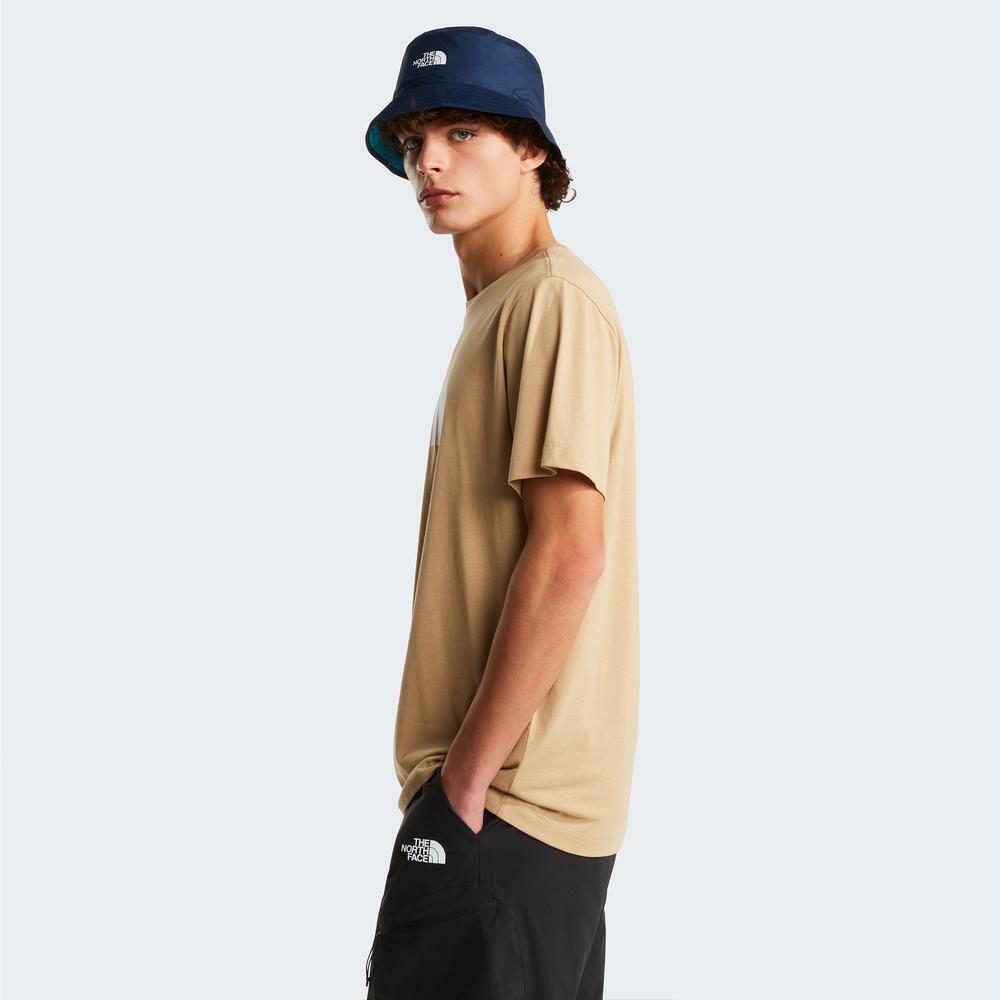 Mužský tričko The North Face Evolution Half Dome 0A8B6JLK51 - béžové