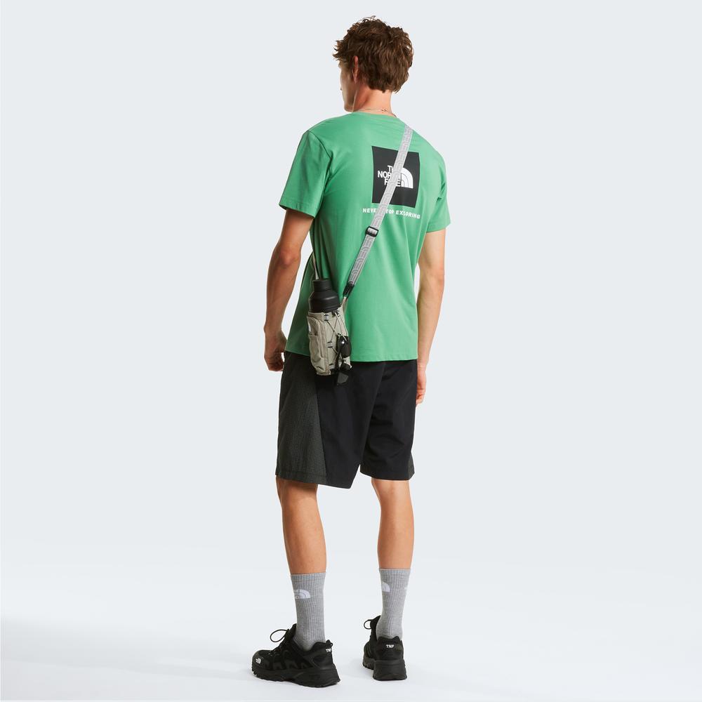 Mužský tričko The North Face Evolution NSE Box 0A8B6KG571 - zelené