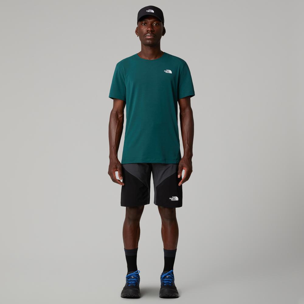 Pánske Šortky The North Face Felik 0A825X4JK1 - šedý