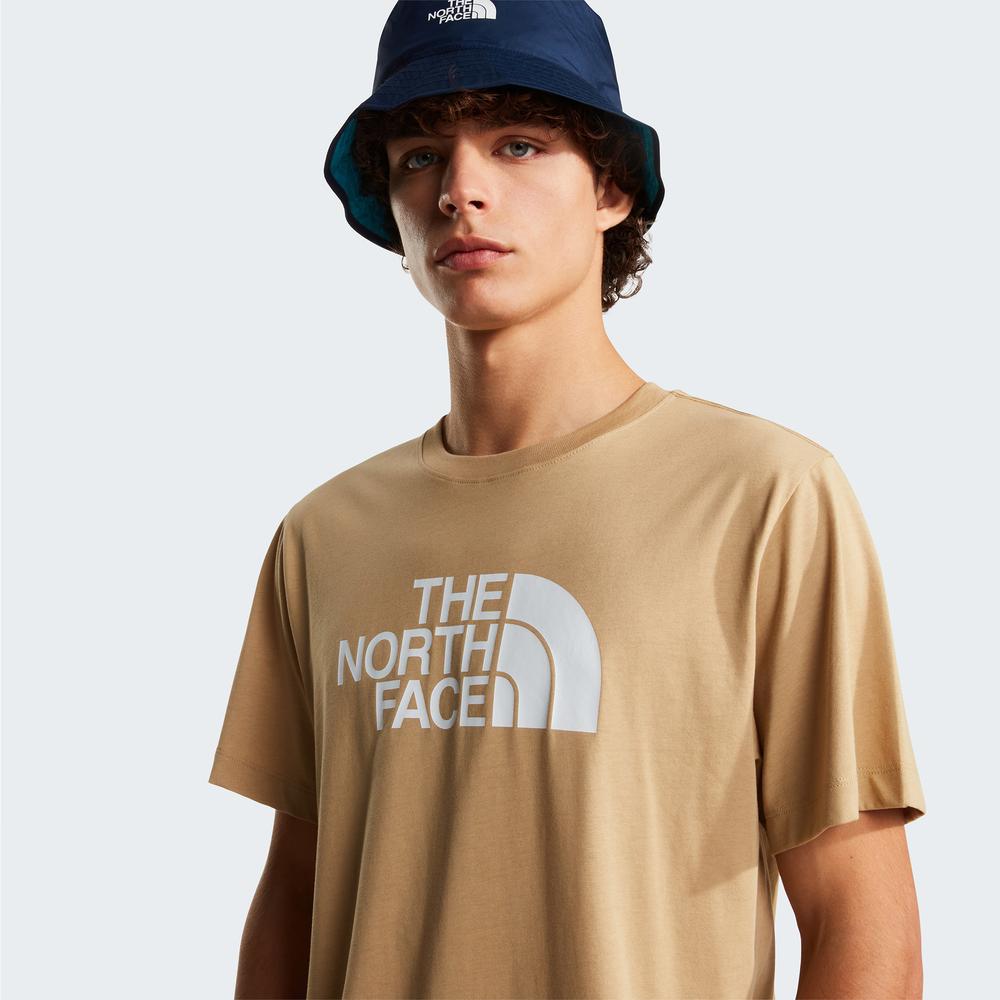 Mužský tričko The North Face Evolution Half Dome 0A8B6JLK51 - béžové