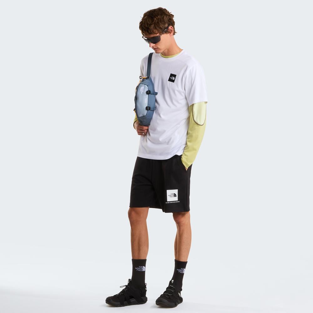 Mužský tričko The North Face Evolution Box Half Dome 0A8G9CFN41 - biele