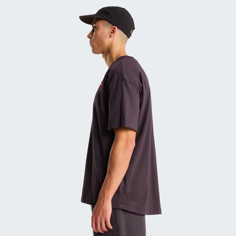 Mužský tričko The North Face Red Box 0A8EG50SA1 - hnedé