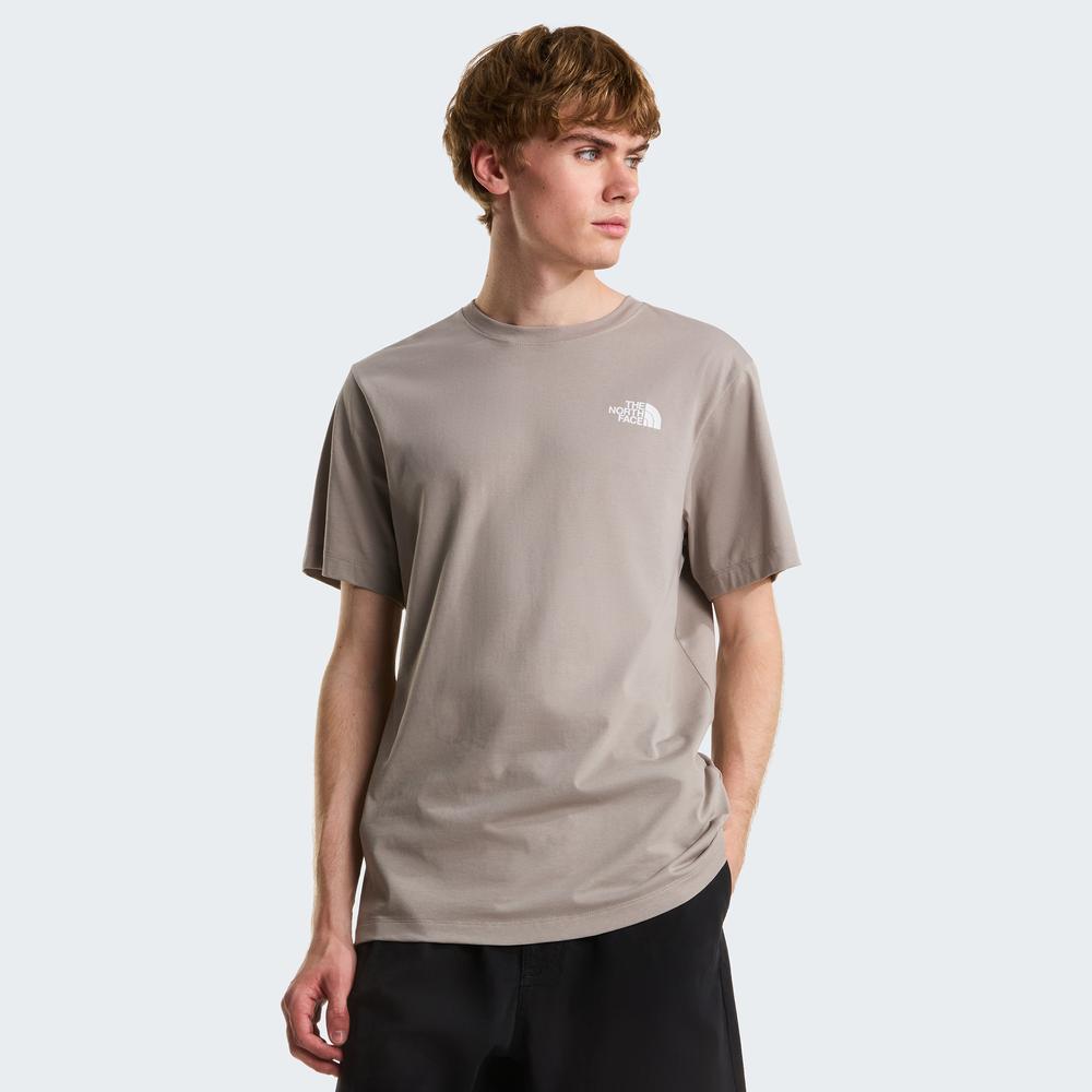 Mužský tričko The North Face Evolution NSE Box 0A8B6K2MB1 - šedý