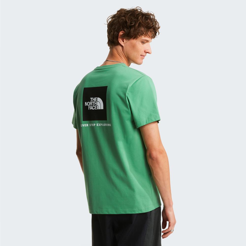 Mužský tričko The North Face Evolution NSE Box 0A8B6KG571 - zelené