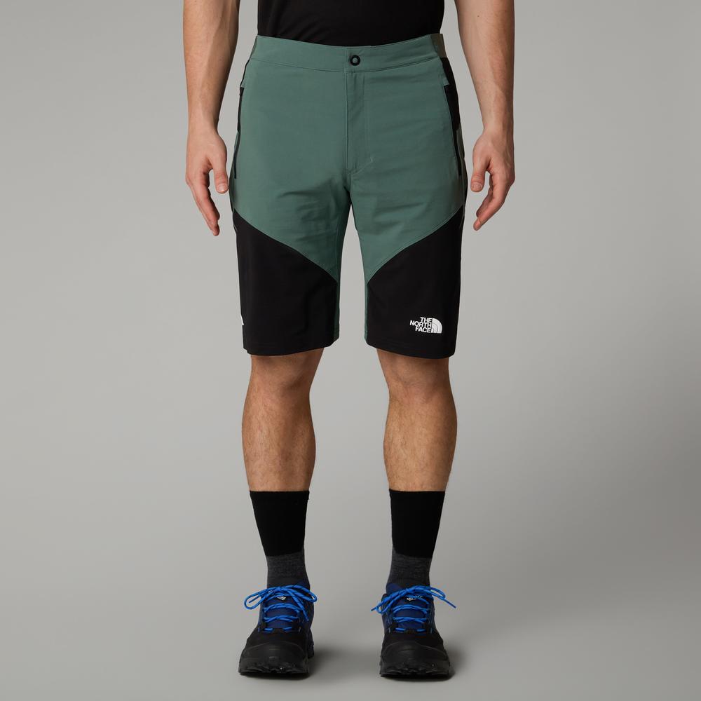Pánske Šortky The North Face Felik 0A825XLFW1 - zelené