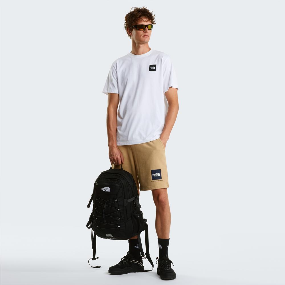 Šortky pánske The North Face NSE Box Light 0A8GQ8LK51 - béžové