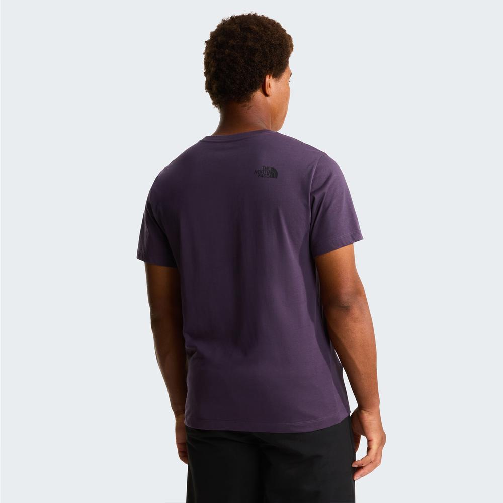 Mužský tričko The North Face Evolution Box Half Dome 0A8G9CG5O1 - fialové