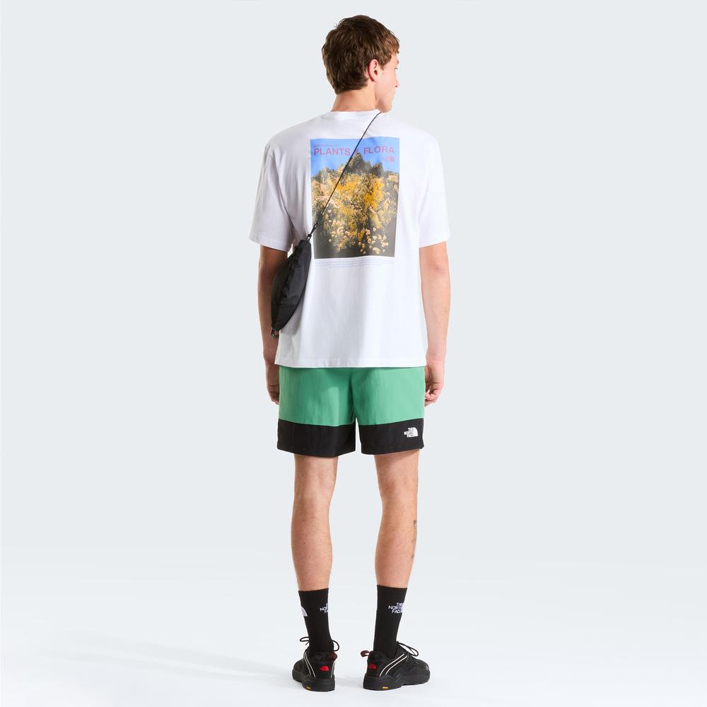 Pánske Šortky The North Face Leynar 0A8FU8MOA1 - zelené