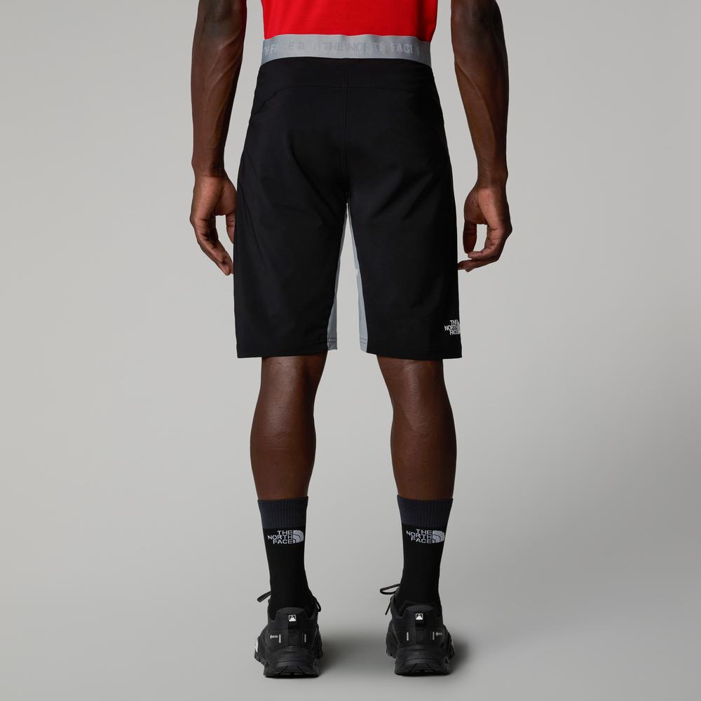 Pánske Šortky The North Face Felik 0A825XBO71 - šedý