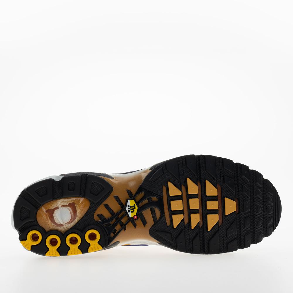 Pánske topánky Nike Air Max Plus FZ3308-700 - viacfarebné