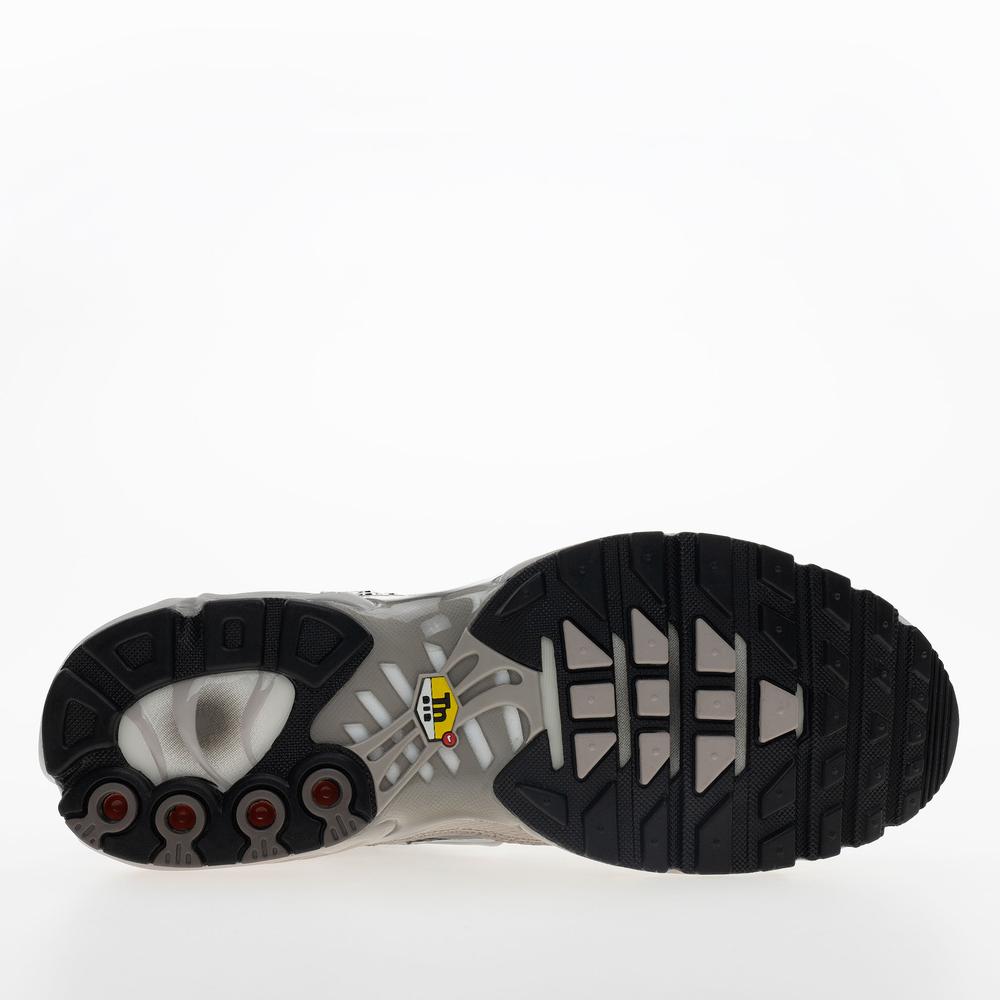 Pánske topánky Nike Air Max Plus IB7679-200 - šedý