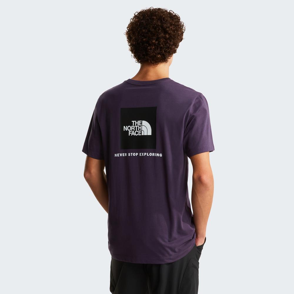 Mužský tričko The North Face Evolution NSE Box 0A8B6KG5O1 - fialové