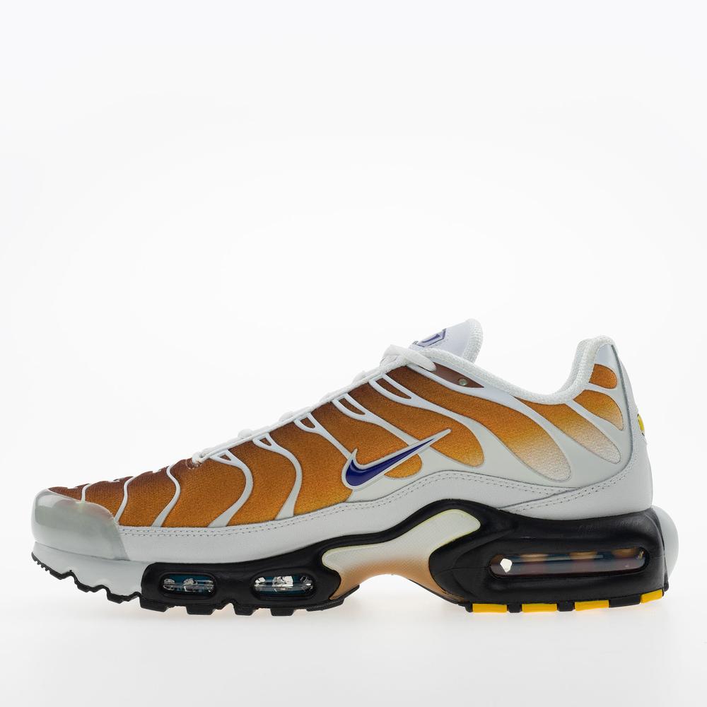 Pánske topánky Nike Air Max Plus FZ3308-700 - viacfarebné