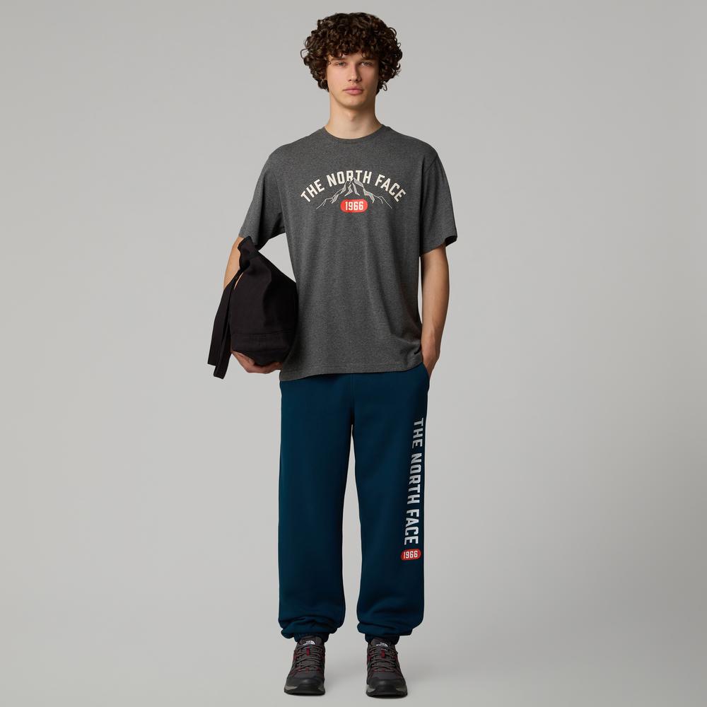 Tričko The North Face Varsity Graphic 0A89DGDYY1 - šedý
