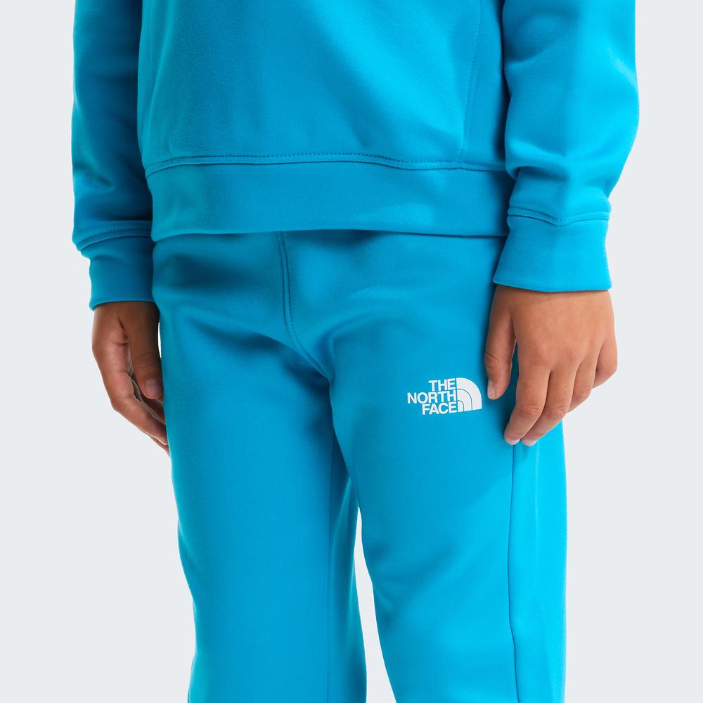 Tepláková súprava The North Face Performance 0A8CV0D7R1 - modré