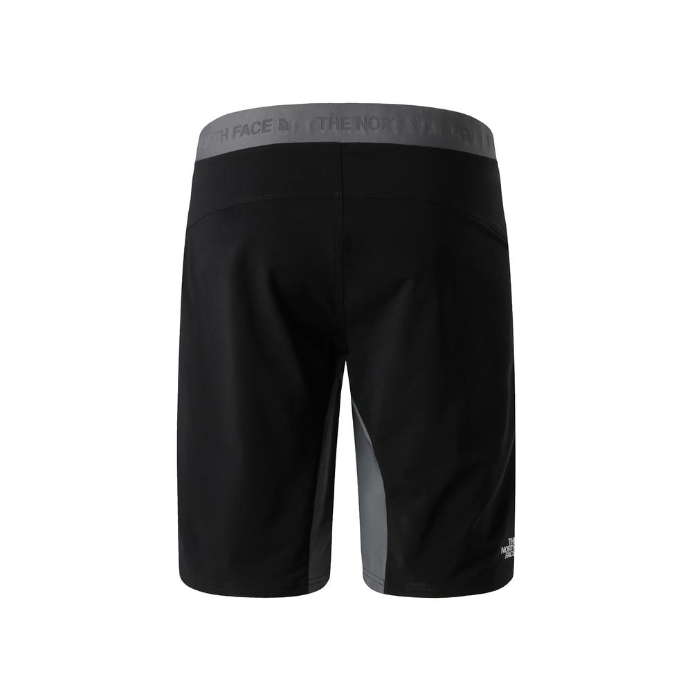 Pánske Šortky The North Face Felik 0A825XRPI1 - šedý