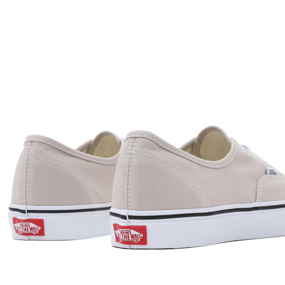 Topánky Vans Color Theory Authentic VN0A5KS9BLL1 - béžové