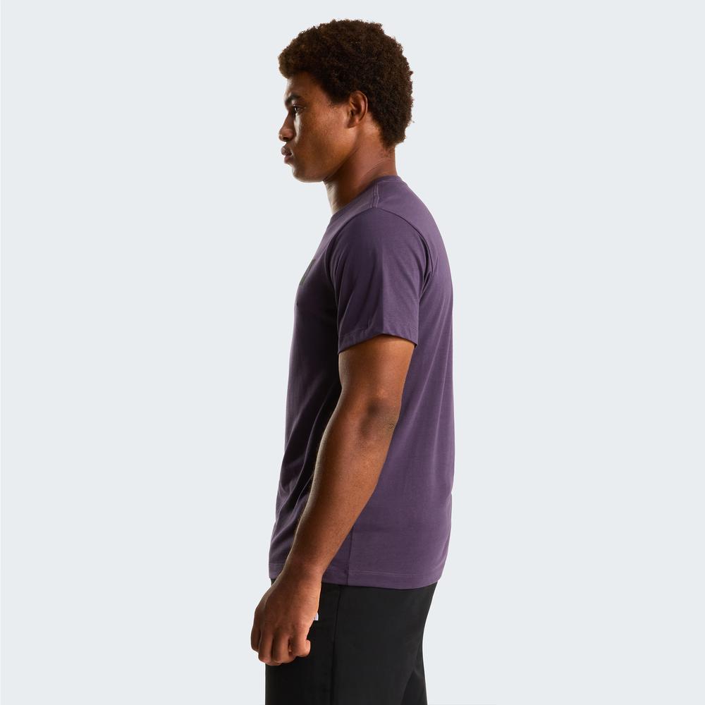 Mužský tričko The North Face Evolution Box Half Dome 0A8G9CG5O1 - fialové